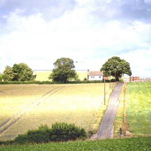 2020 Moulton Views by Viviene Houghlen 30