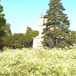 2020 Moulton Views by Viviene Houghlen 33