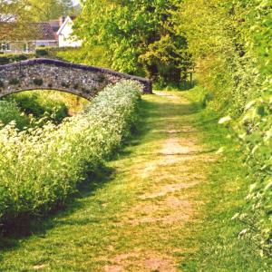 2020 Moulton Views by Viviene Houghlen 35