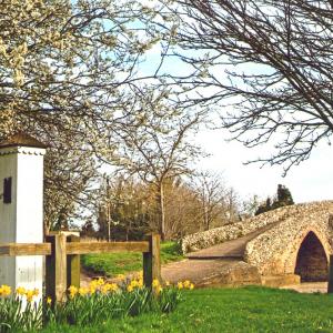 2020 Moulton Views by Viviene Houghlen 38