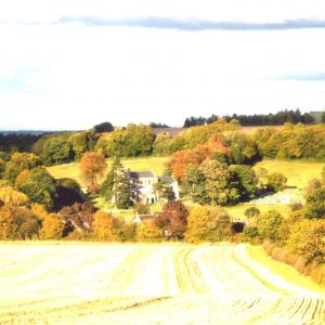 2020 Moulton Views by Viviene Houghlen 41