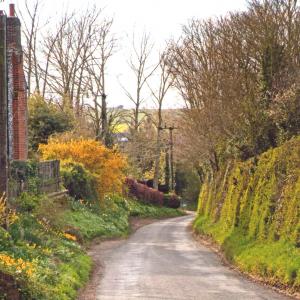 2020 Moulton Views by Viviene Houghlen 42