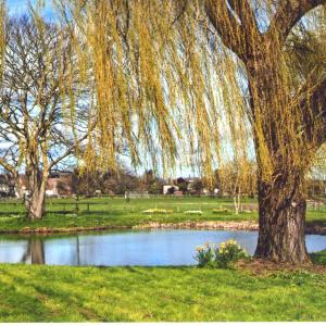 2020 Moulton Views by Viviene Houghlen 44