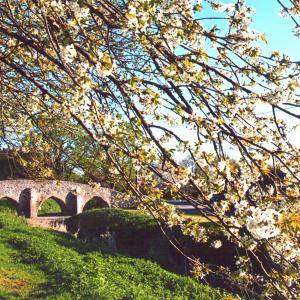 2020 Moulton Views by Viviene Houghlen 45