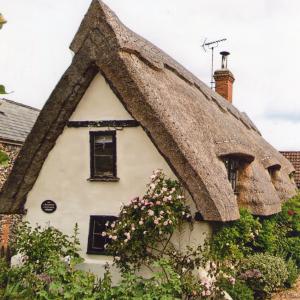 2020 Moulton Views by Viviene Houghlen 47