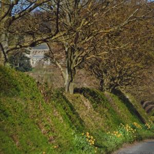 2020 Moulton Views by Viviene Houghlen 49