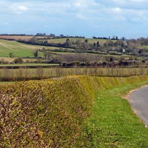 2020 Moulton Views by Viviene Houghlen 50