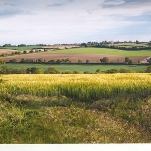 2020 Moulton Views by Viviene Houghlen 56