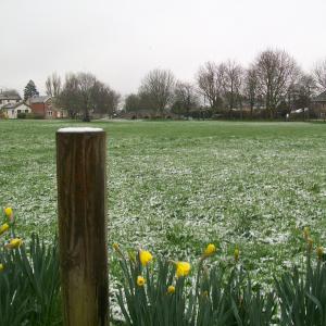 2020 Moulton. Village Green.