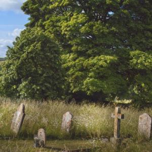 2020 Saint Peters churchyard Moulton Vivienne Houghton photo