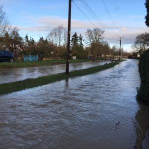 2021 01 01 Brookside from our gate 1