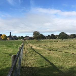 2021 04 10 French Hall meadow Moulton 1