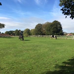 2021 04 10 French Hall meadow Moulton 2