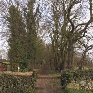 2021 10 04 Church Bonfire Hill footpath