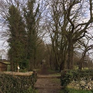 2021 20 04 Church plantation footpath