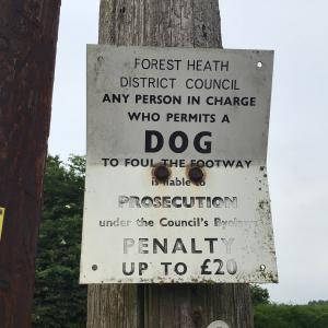 2021 20 04 Dog reminder notice 1