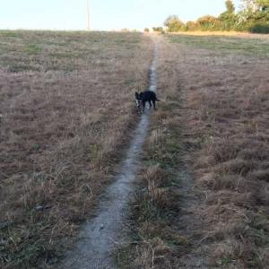 2021 September Bonfire Hill nature area destroyed 1