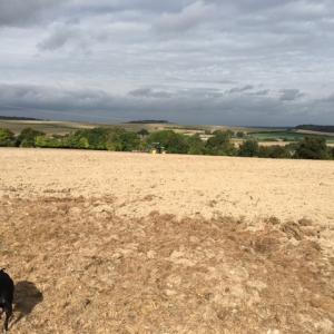 2021 September Bonfire Hill nature area destroyed 2