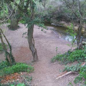 2021 walk towards Dalham 3