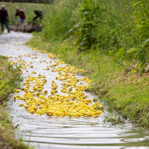 2022 04 06 Moulton Playing Field Platinum celebrations 49