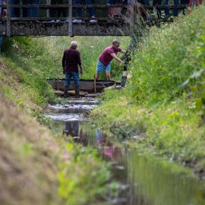 2022 04 06 Moulton Playing Field Platinum celebrations 94