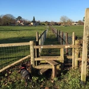 2022 10 01 French Hall meadow footpath fenced