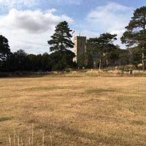 2022 August Dove House Close drought conditions