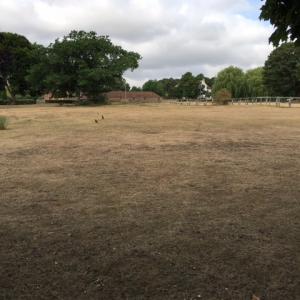 2022 August drought conditio 1