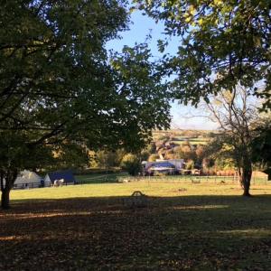 2022 July Amento from Bonfire Hill