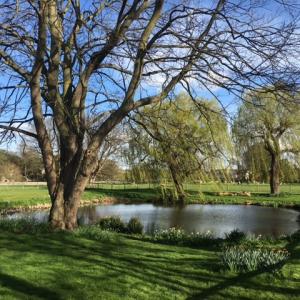 2022 May French Hall pond