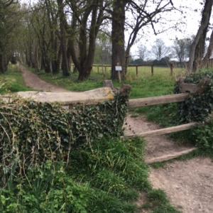2022 May Moulton Church Footpath and stile 4