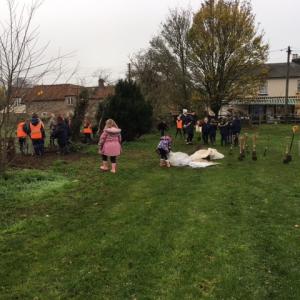 2022 Sport Field Planting new boundary hedge 2