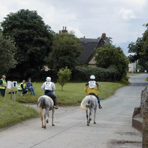 9 70 2000 Arab horse longdistance ride