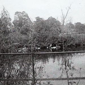 French Hall pond Moulton 1935 2