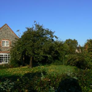 Oct 2007 No4 The Green.