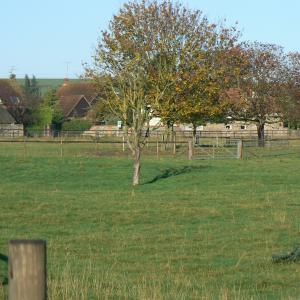 Oct 2007 french Hall Meadow looking towards Park Close
