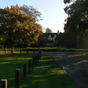 Oct 2007access Rd side of the Village Green