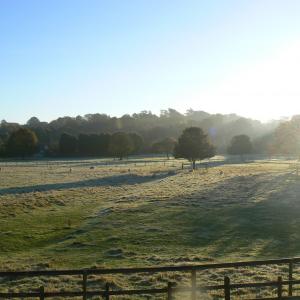 Oct 2007frosty morning French Hall Meadow